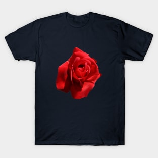 The Perfect Red Rose Photograph Cut Out T-Shirt